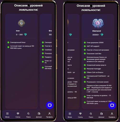 Система лояльности